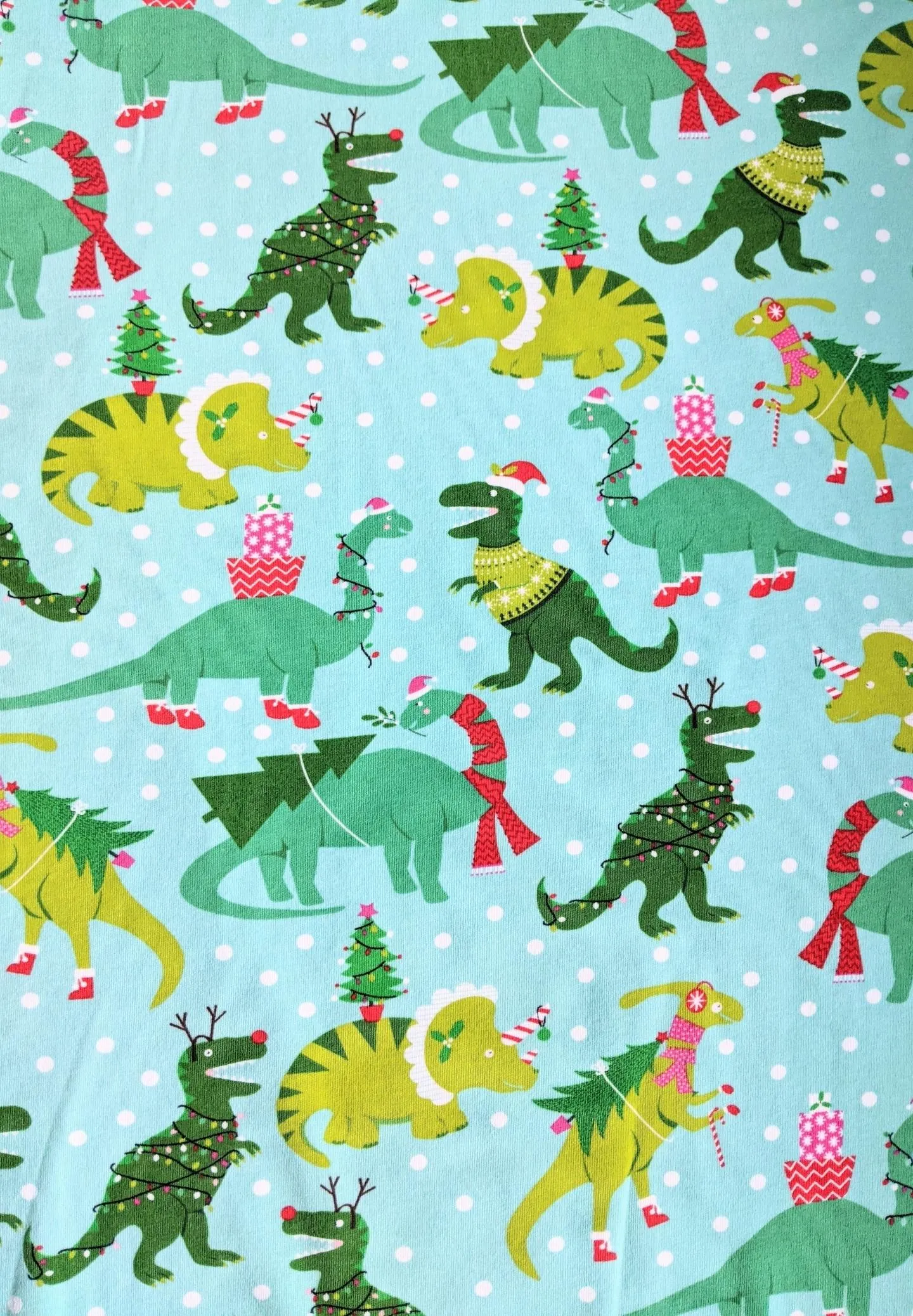 Christmas Dinosaur Dog Pajamas