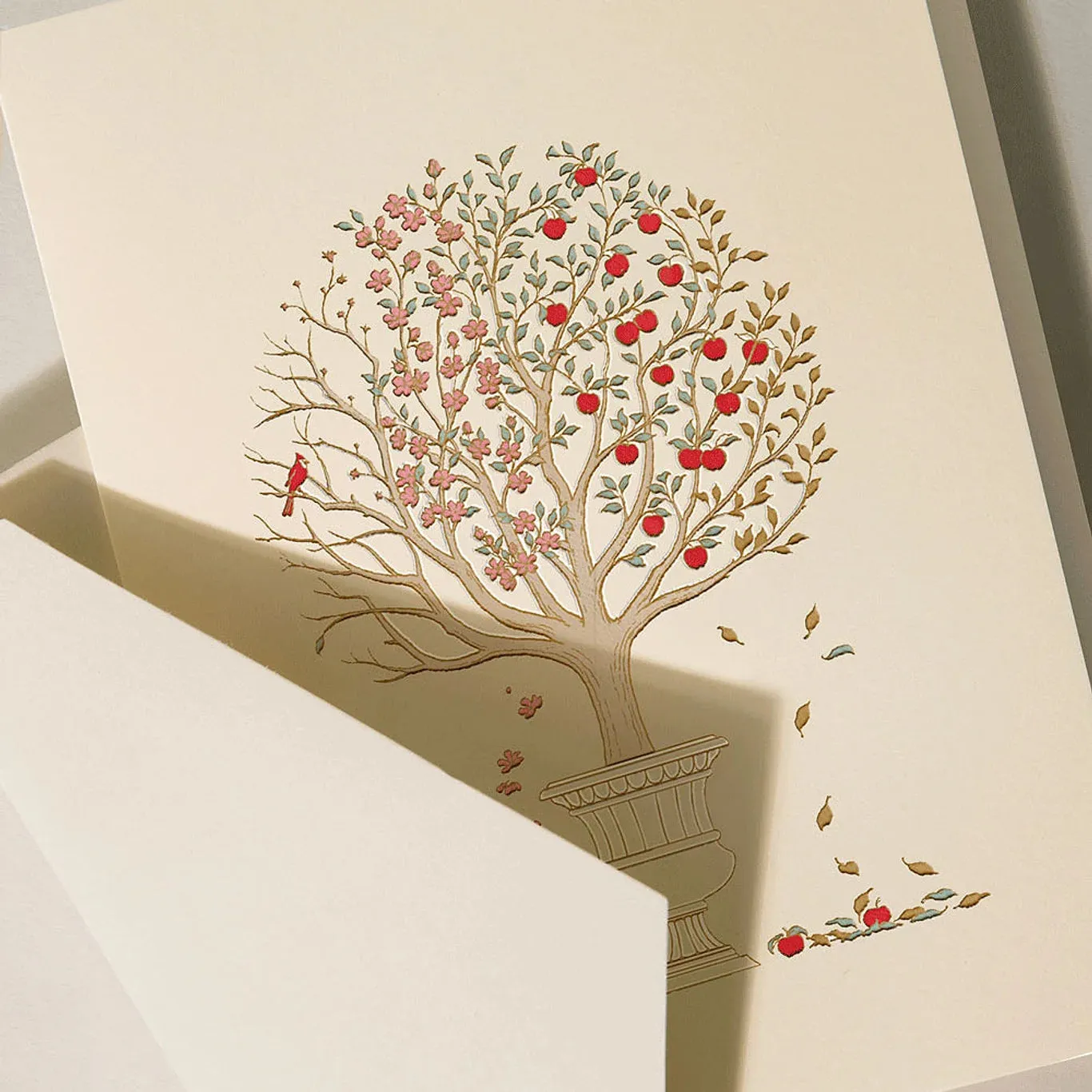 Crane Four Season Apple Tree Box of 10 Cards