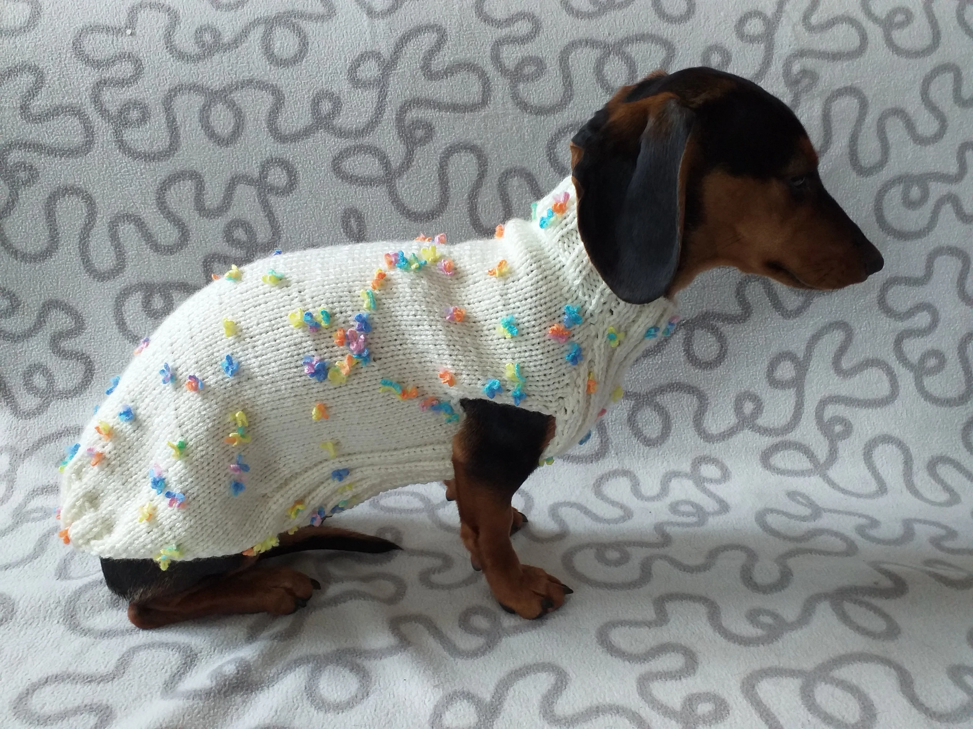 Floral Mini Dachshund Jumper, Dog Coat, Clothes Dog Sweater