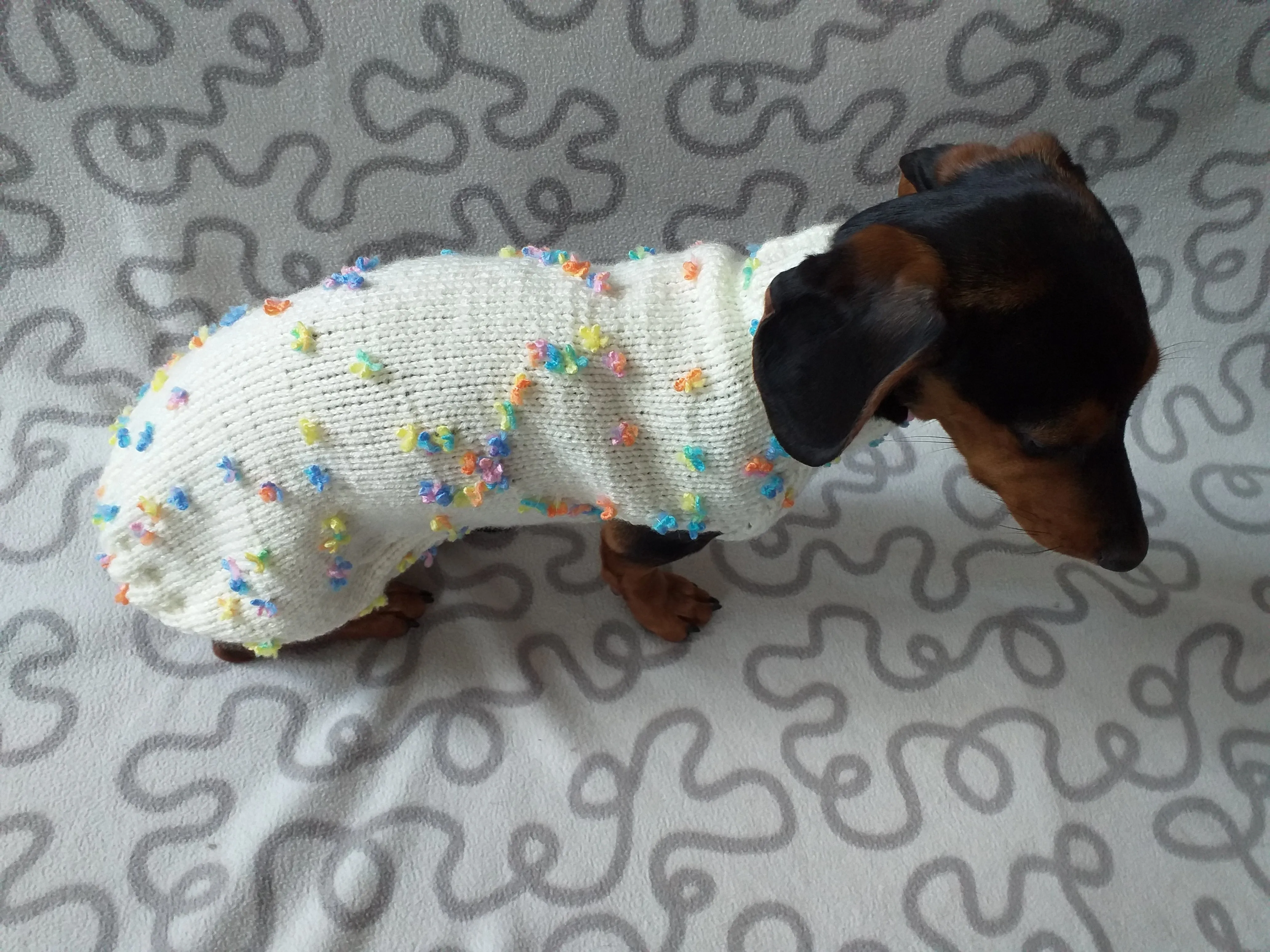 Floral Mini Dachshund Jumper, Dog Coat, Clothes Dog Sweater