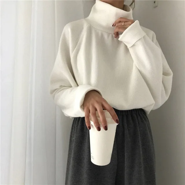 Long Sleeve Turtleneck sweater