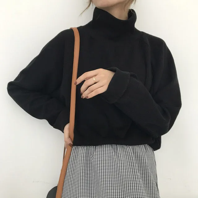 Long Sleeve Turtleneck sweater