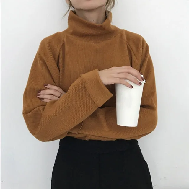 Long Sleeve Turtleneck sweater