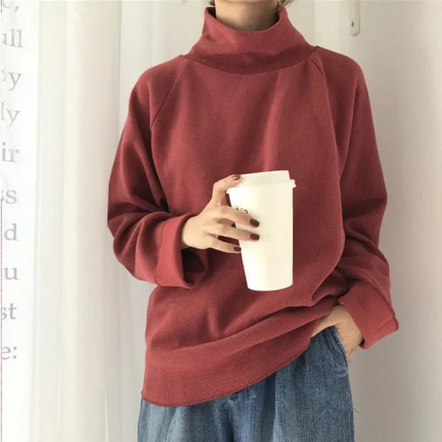 Long Sleeve Turtleneck sweater