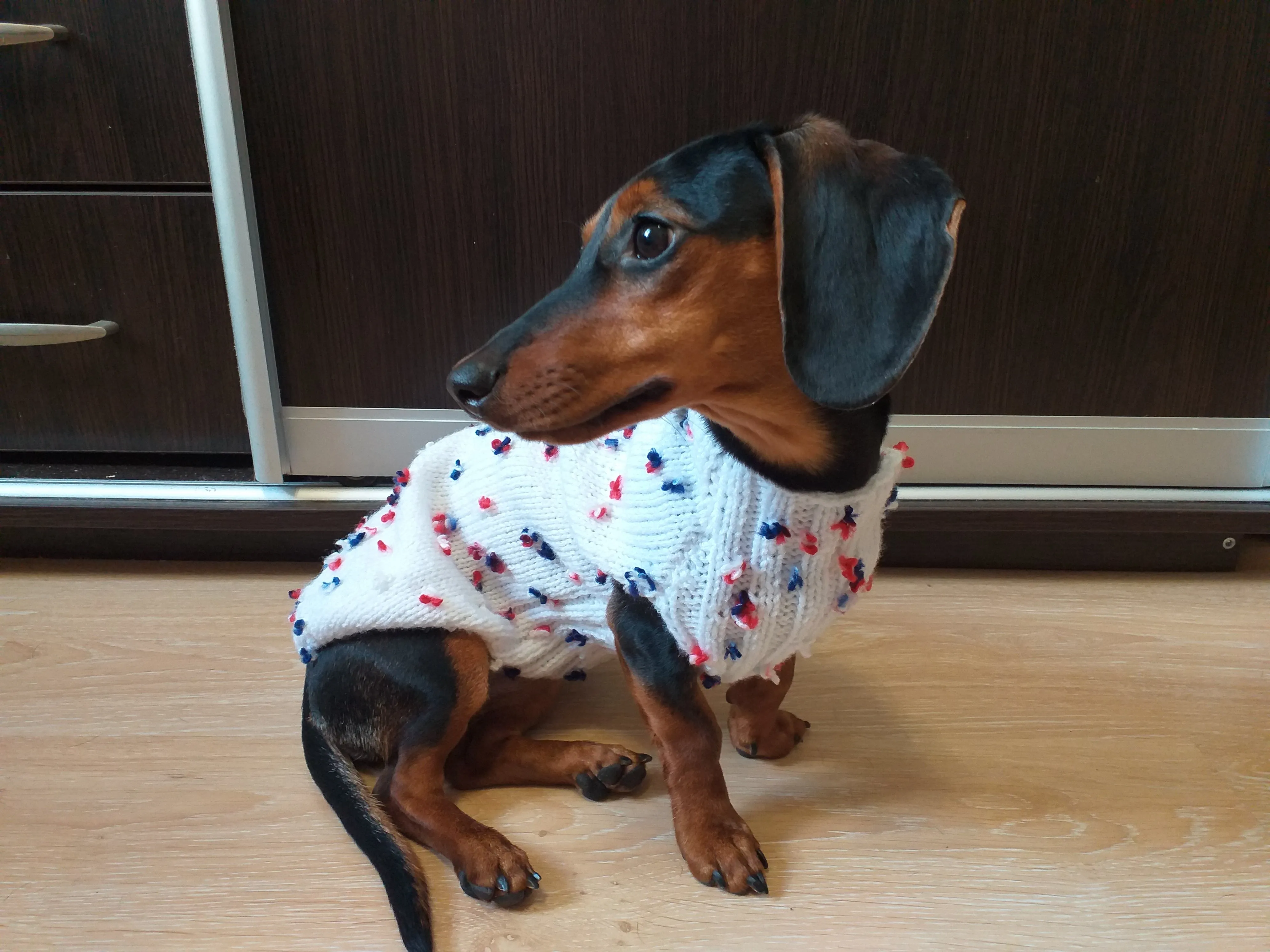 Sweater with flowers and butterflies for miniature dachshund or small dog