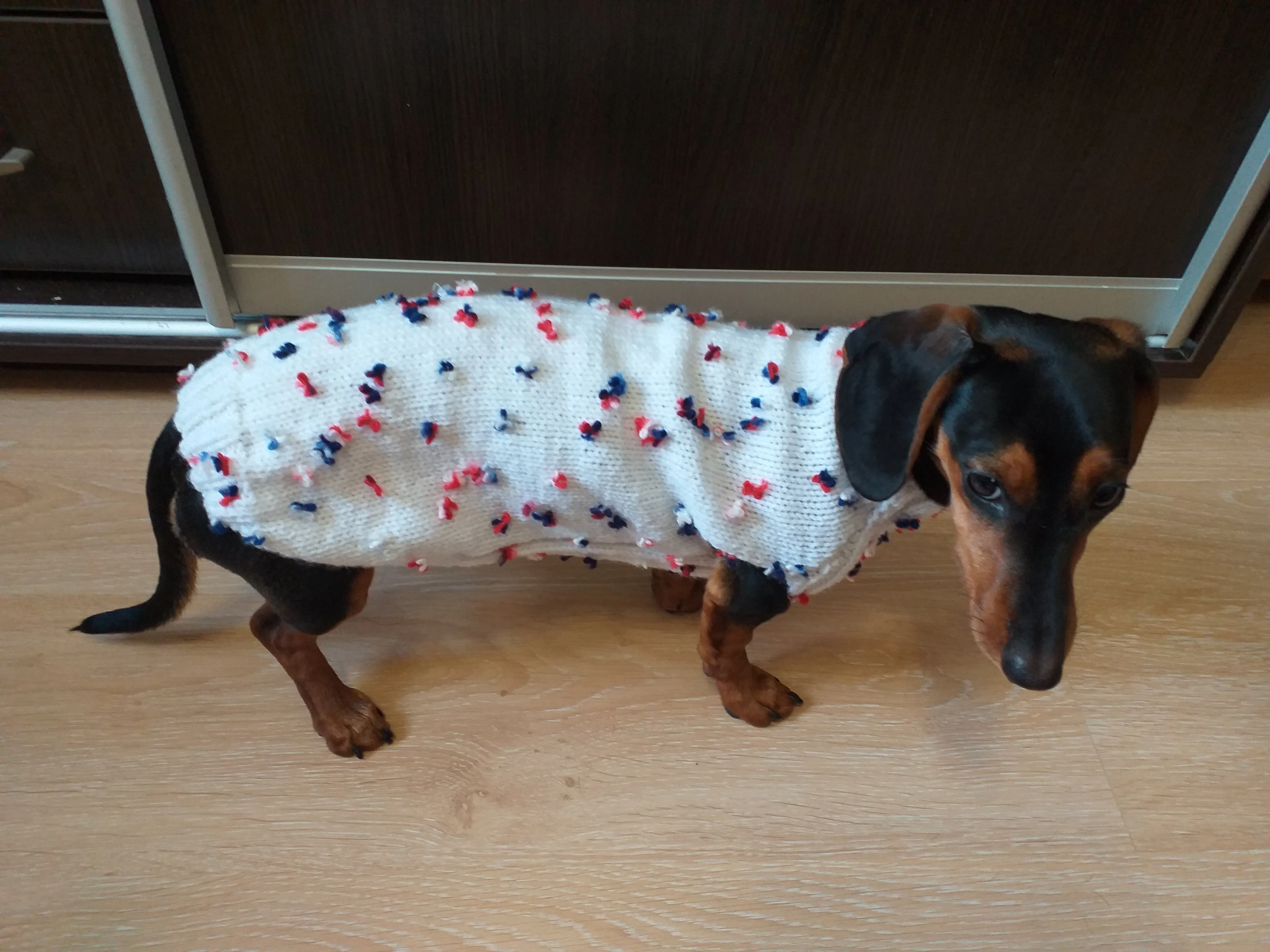 Sweater with flowers and butterflies for miniature dachshund or small dog