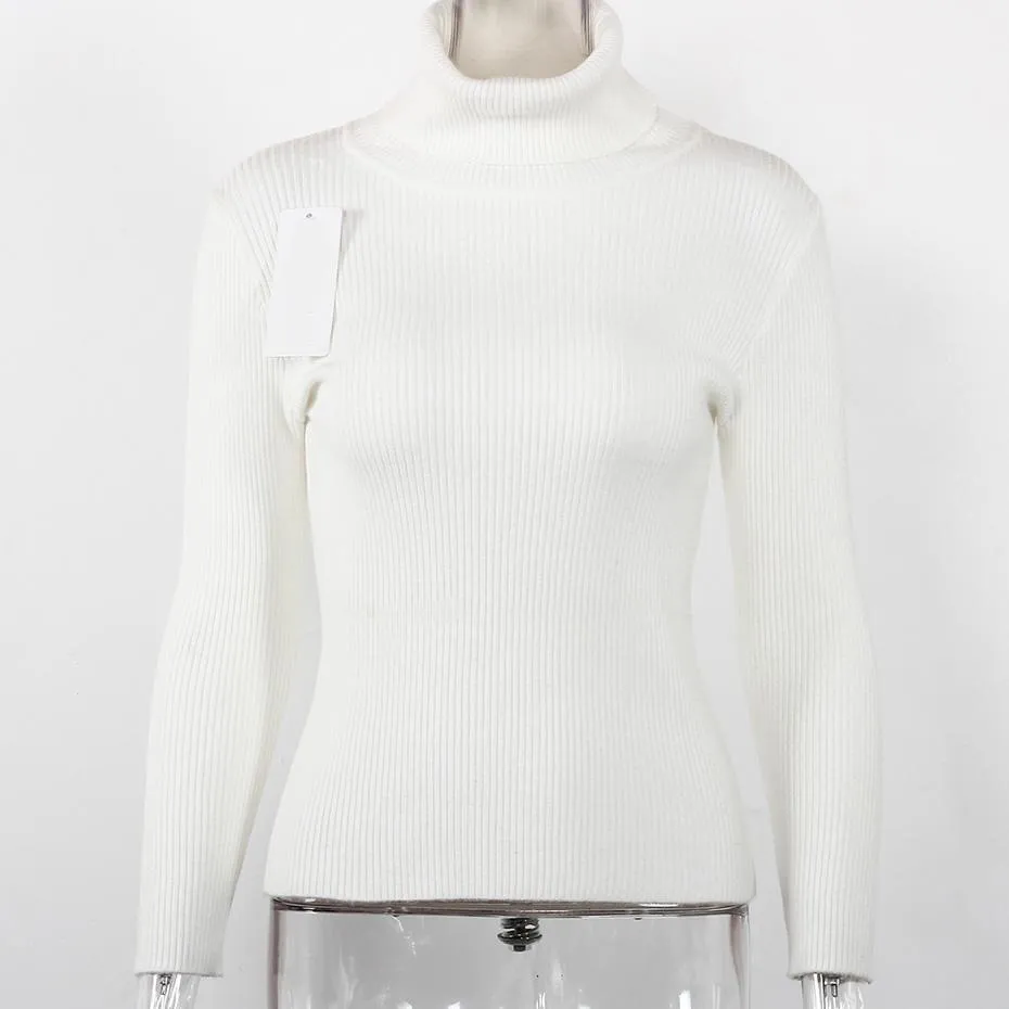 Turtleneck Knitted Long Sleeve Slim Fit Sweater