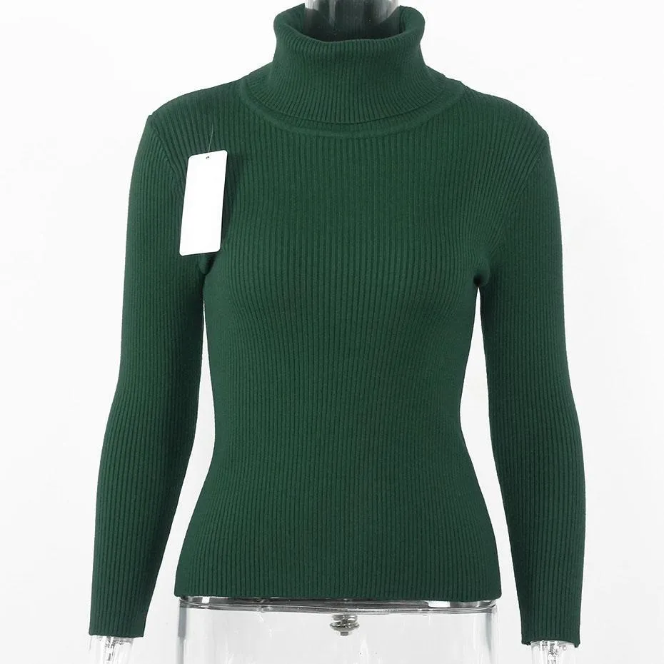 Turtleneck Knitted Long Sleeve Slim Fit Sweater